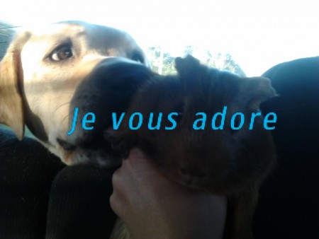 trop chou